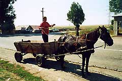 Povoz v Rumunsku